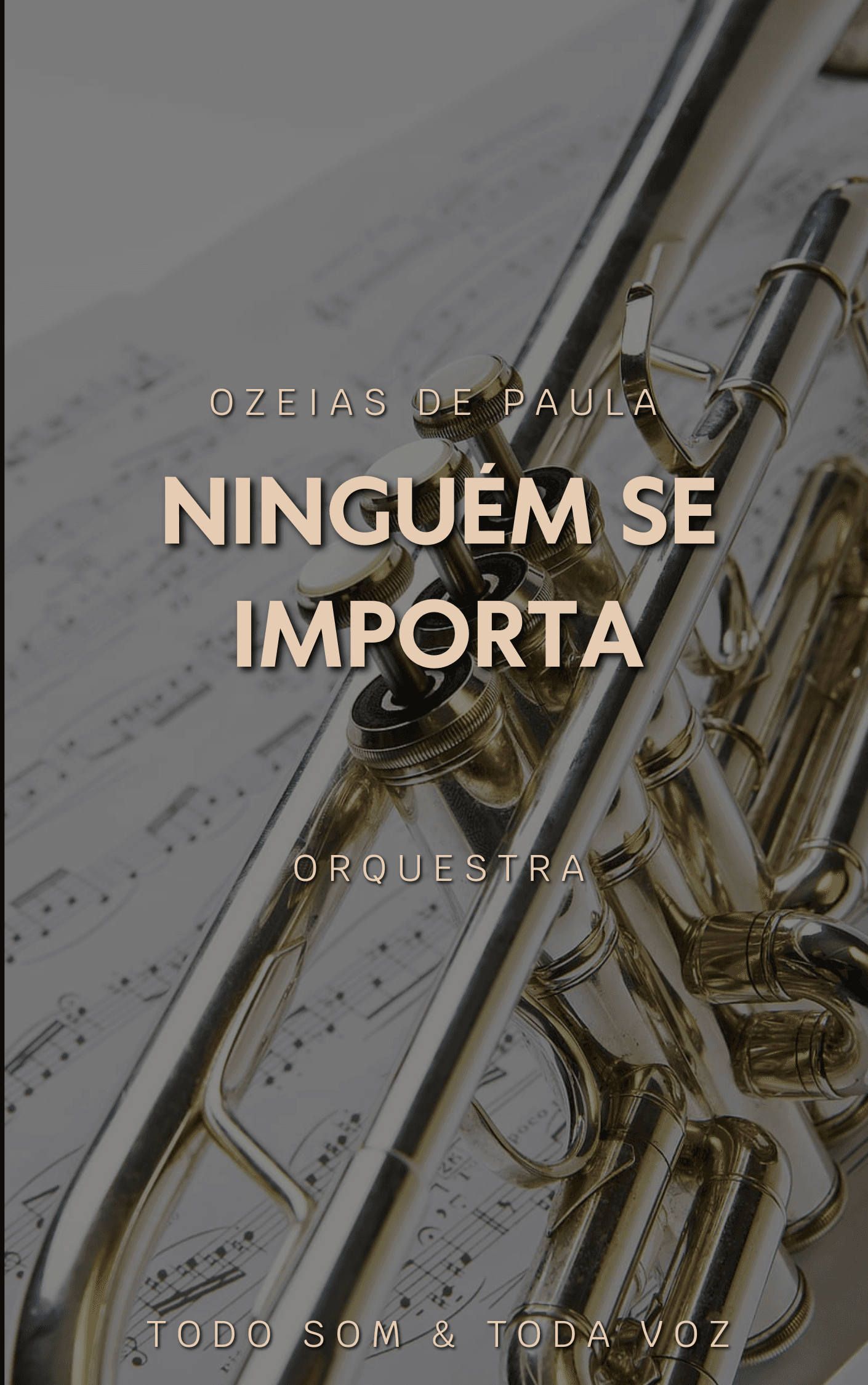 Ninguém se Importa - Ozeias de Paula